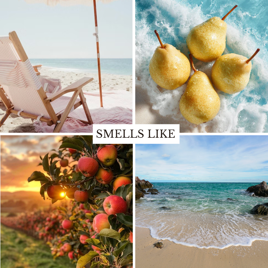 Scent Spotlight: The Beach House