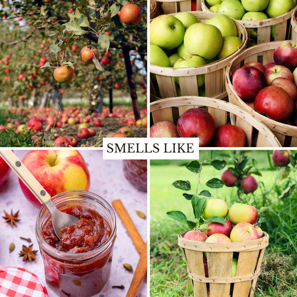 A four-panel collage showing apples in an orchard, baskets of red and green apples, a jar of apple preserve with a spoon, and the text 'SMELLS LIKE' across the center.