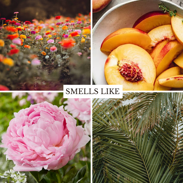 Fresh Cut Flowers 22 oz