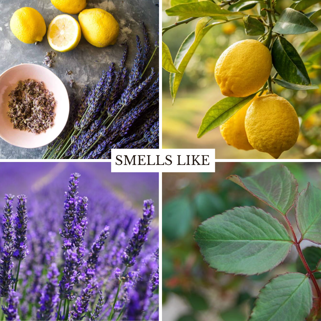 Lavender & Lemon 16 oz