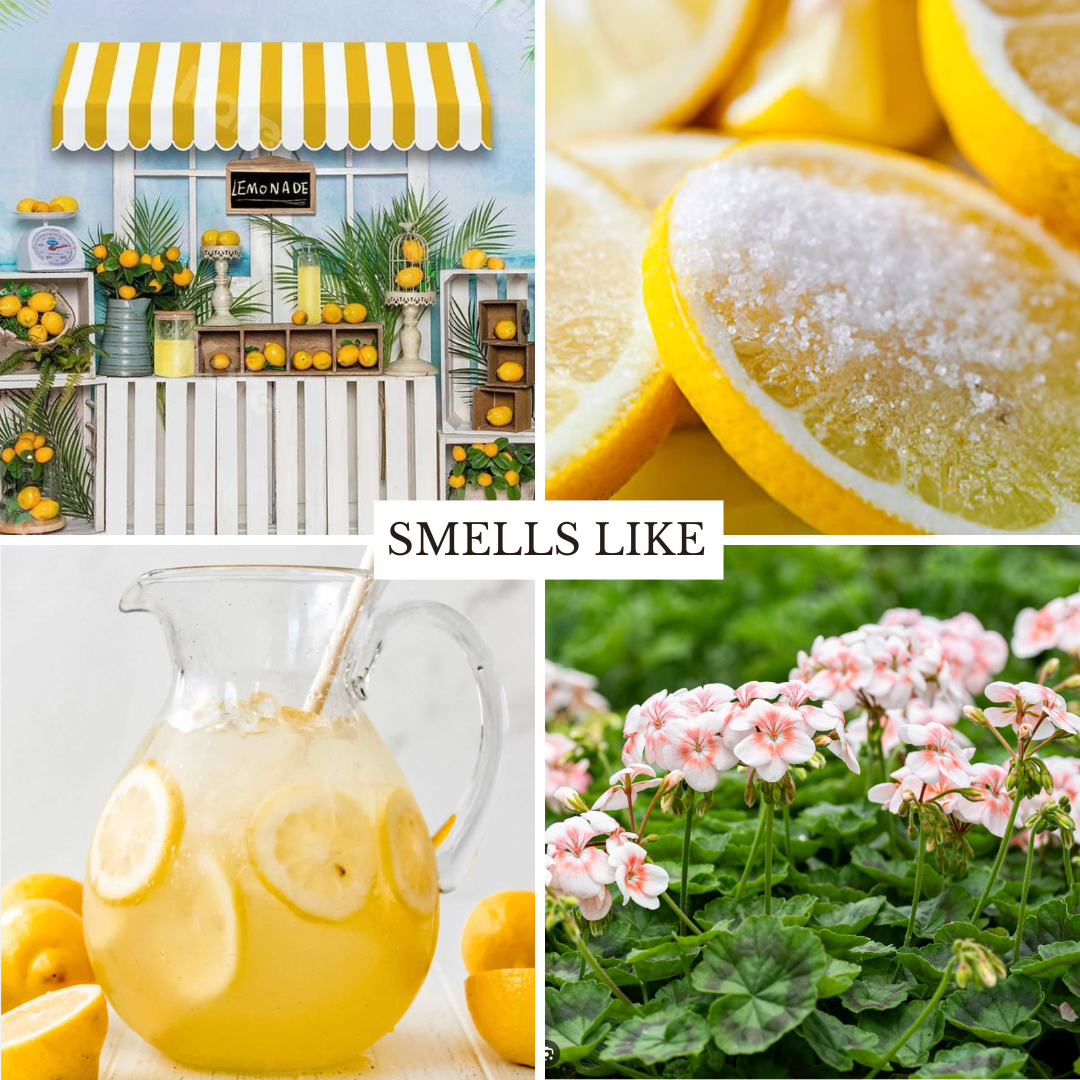 Lemonade Stand 22 oz