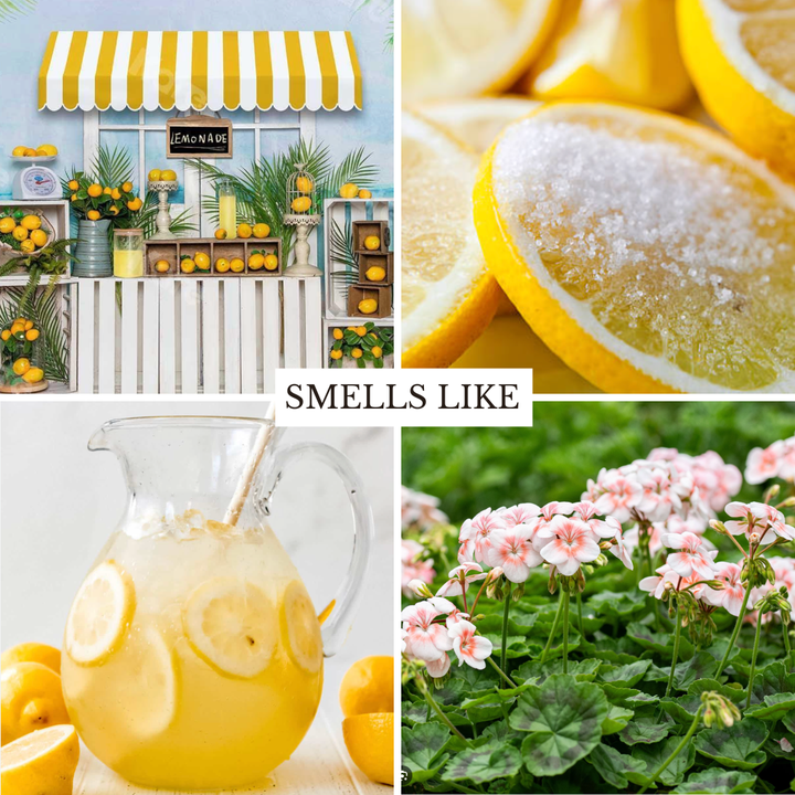 Lemonade Stand 22 oz