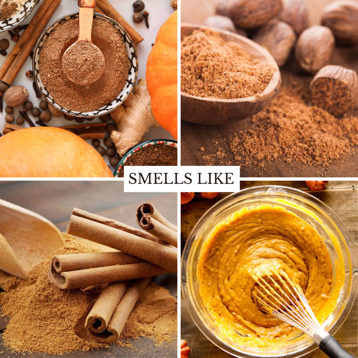 A four-panel collage showing cinnamon and pumpkin spice ingredients: ground cinnamon in bowls, whole cinnamon sticks and nutmegs, and a whisked orange-brown paste in a glass bowl. A central label reads “SMELLS LIKE”.