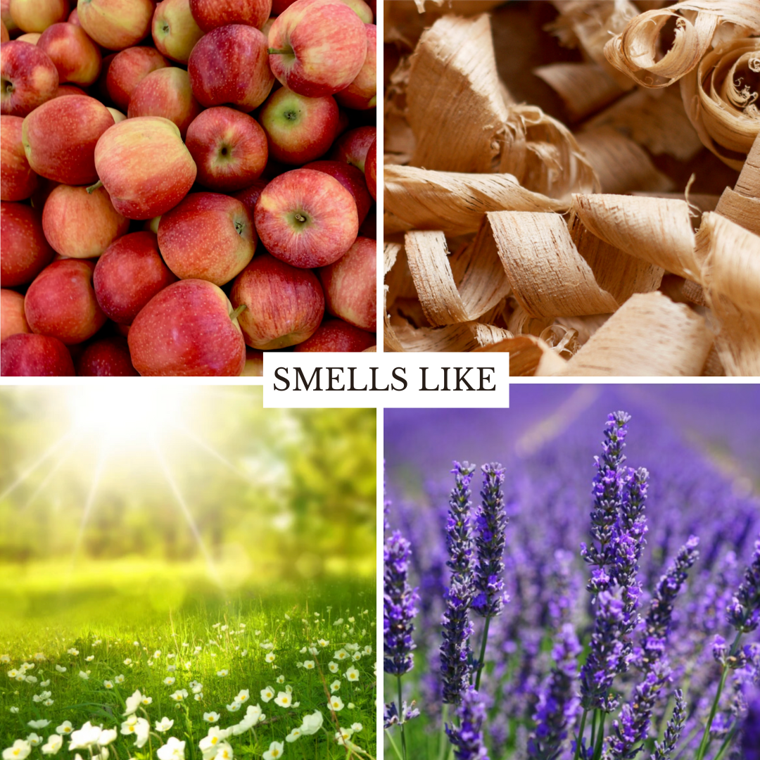 Southern Charm 22 oz