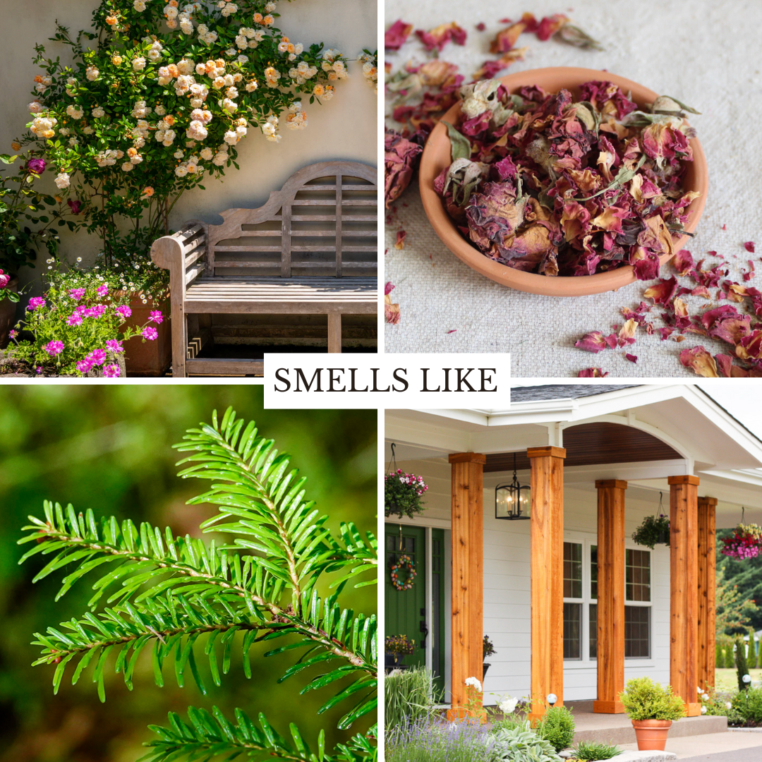 The Front Porch 22 oz